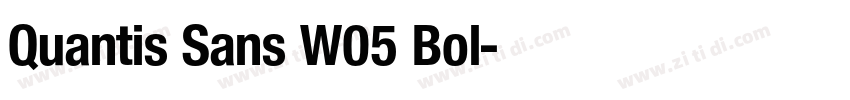 Quantis Sans W05 Bol字体转换